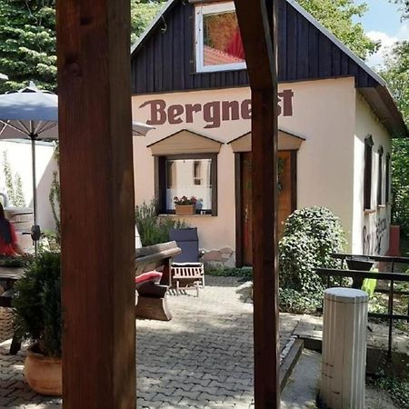 Bergnest Bungalow Bad Gottleuba Kültér fotó