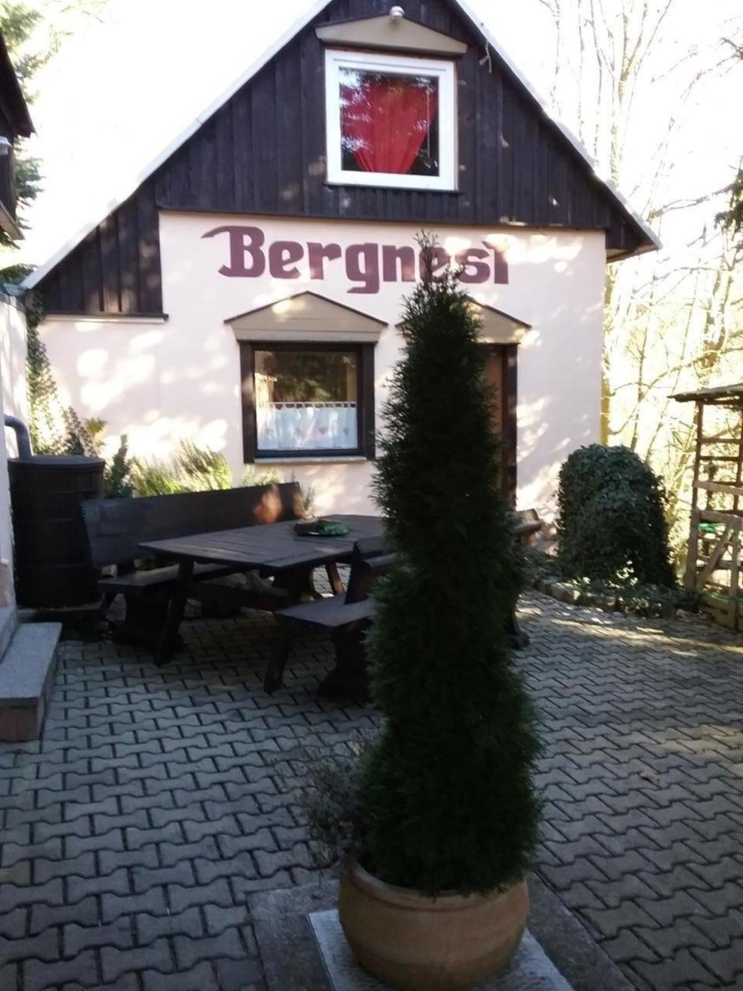 Bergnest Bungalow Bad Gottleuba Kültér fotó